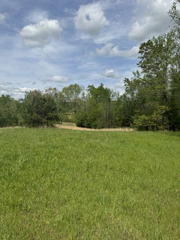 0 Birdwell Cemetery Rd, Buena Vista, TN 38318