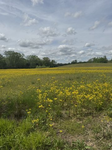 0 Birdwell Cemetery Rd, Buena Vista, TN 38318