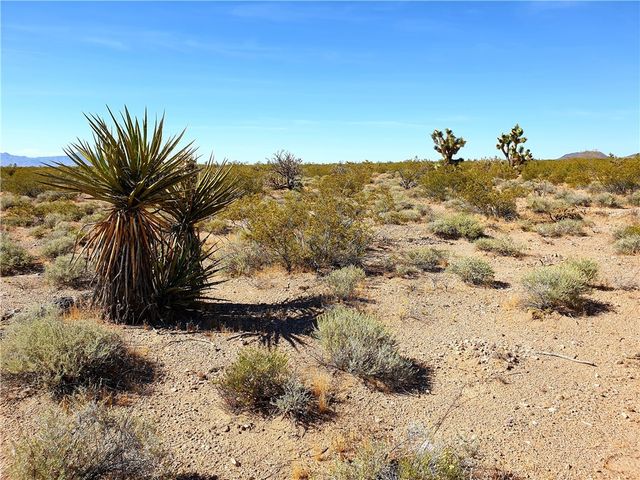 11321 W Santa Bella Drive, White Hills, AZ 86445