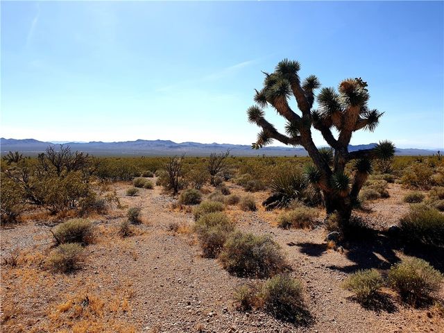 11321 W Santa Bella Drive, White Hills, AZ 86445