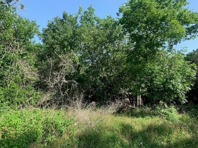 262 Colovista PKWY, Bastrop, TX 78602