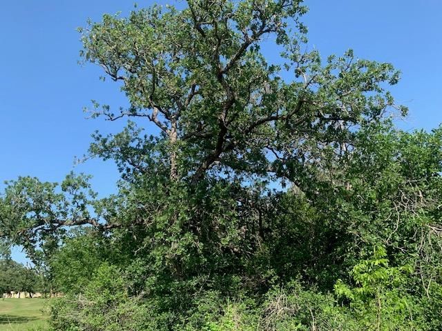 262 Colovista PKWY, Bastrop, TX 78602