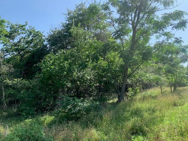 262 Colovista PKWY, Bastrop, TX 78602