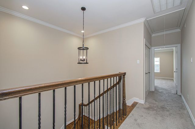 1904 Lauderdale Street, Houston, TX 77030