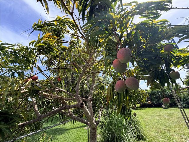 125 4TH ST, Naples, FL 34113