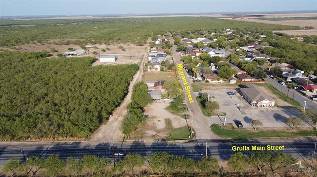 TBD Migrant Street, La Grulla, TX 78582