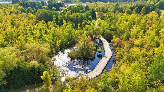 491 Bitter Creek Lane, Pierson, MI 49339