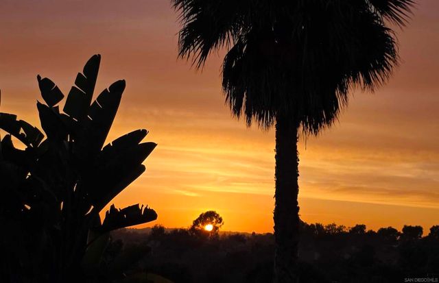 3520 Sitio Baya, Carlsbad, CA 92009