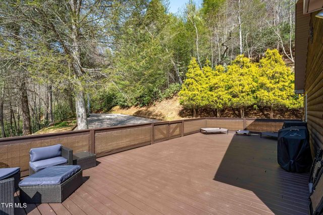 244 Bill Branch Lane, Butler, TN 37640