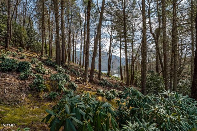 244 Bill Branch Lane, Butler, TN 37640