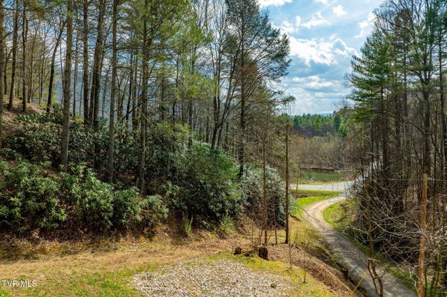 244 Bill Branch Lane, Butler, TN 37640