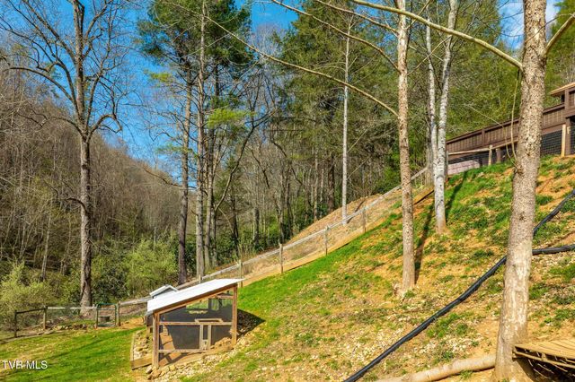 244 Bill Branch Lane, Butler, TN 37640