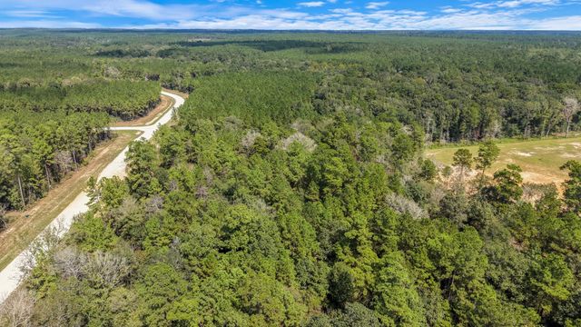 12109 Dawn Tree Lane, Willis, TX 77378