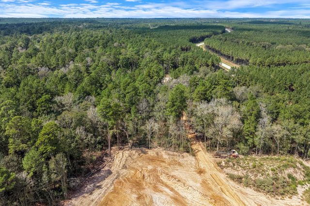 12109 Dawn Tree Lane, Willis, TX 77378