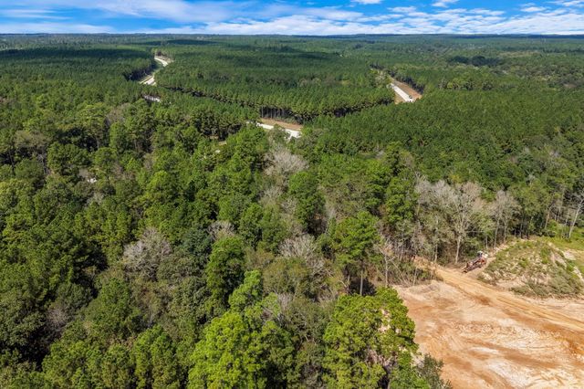 12109 Dawn Tree Lane, Willis, TX 77378