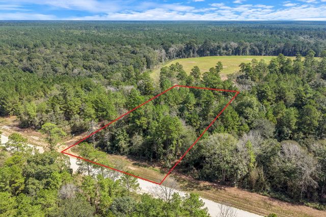 12109 Dawn Tree Lane, Willis, TX 77378