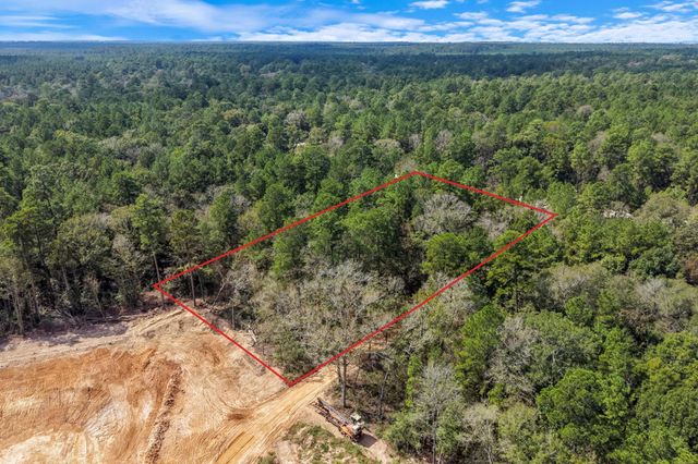 12109 Dawn Tree Lane, Willis, TX 77378