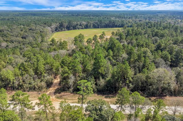 12109 Dawn Tree Lane, Willis, TX 77378