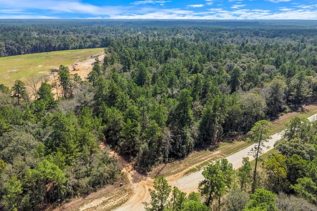 12109 Dawn Tree Lane, Willis, TX 77378