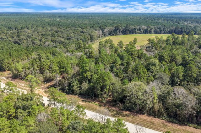 12109 Dawn Tree Lane, Willis, TX 77378
