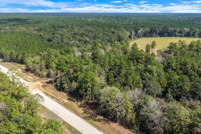 12109 Dawn Tree Lane, Willis, TX 77378
