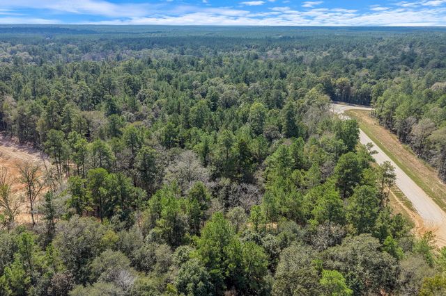 12109 Dawn Tree Lane, Willis, TX 77378