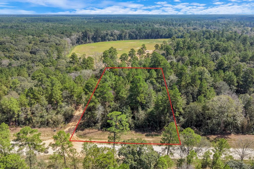 12109 Dawn Tree Lane, Willis, TX 77378