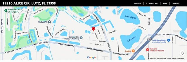 19201 ALICE CIRCLE, Lutz, FL 33558