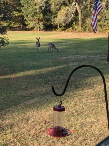 5032 S Hwy 190, Prattsville, AR 72129