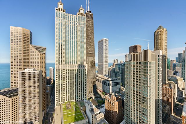 11 E Walton Street 4402, Chicago, IL 60611