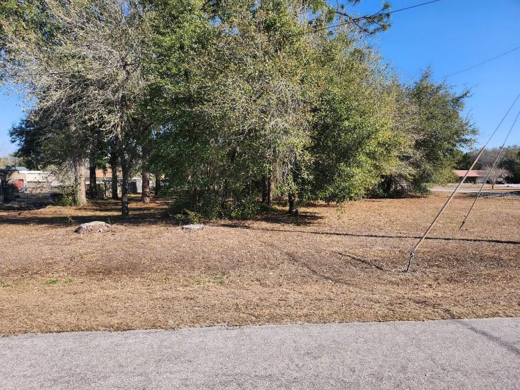 SE 97TH TER, Summerfield, FL 34491