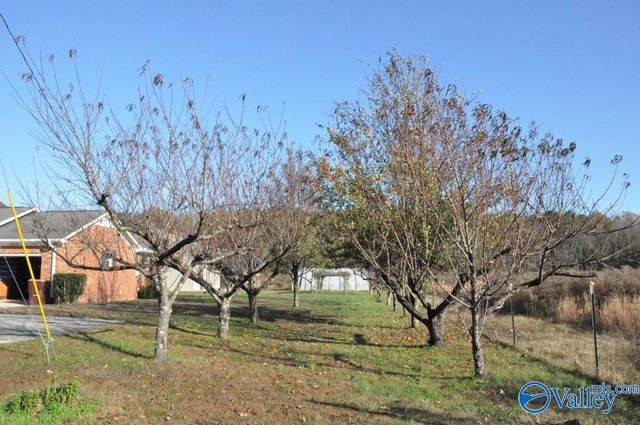 18420 Baker Hill Road, Athens, AL 35611