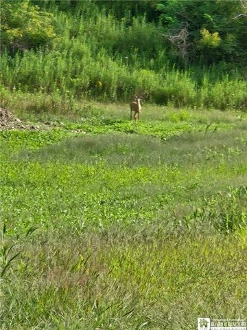 8505 State Route 417, Genesee, NY 14754