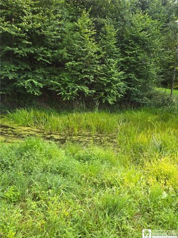 8505 State Route 417, Genesee, NY 14754