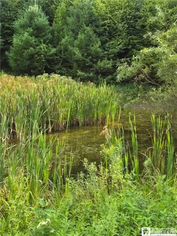 8505 State Route 417, Genesee, NY 14754