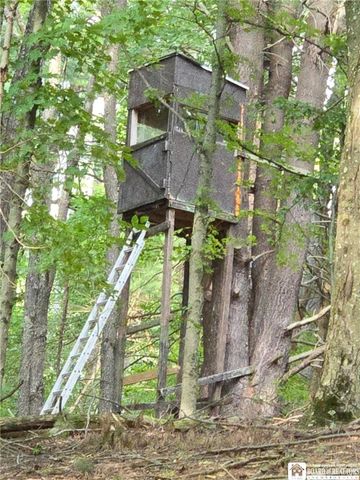 8505 State Route 417, Genesee, NY 14754