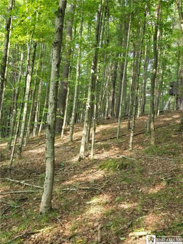 8505 State Route 417, Genesee, NY 14754