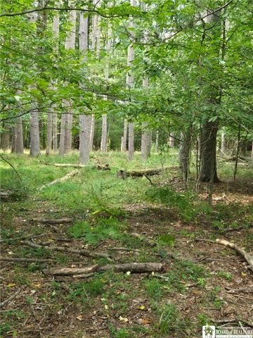 8505 State Route 417, Genesee, NY 14754