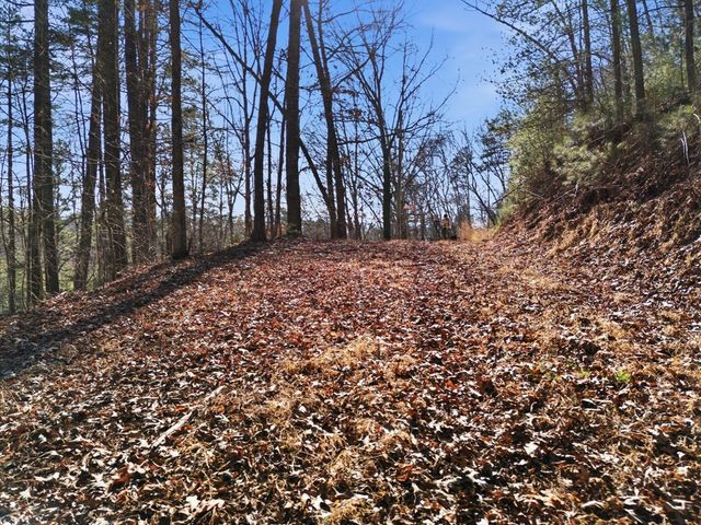 115 Crowe Mountain Lane, Murphy, NC 28906