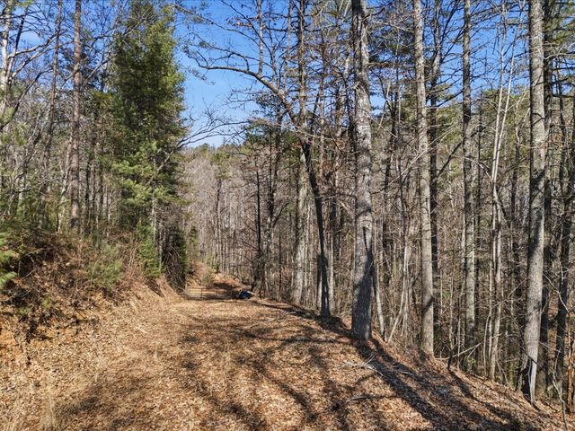 115 Crowe Mountain Lane, Murphy, NC 28906