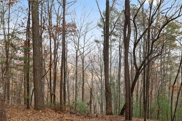 172 Hunter Drive, Talking Rock, GA 30175