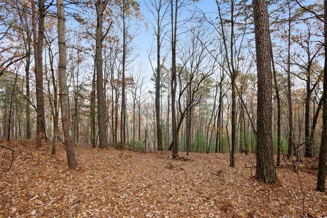 172 Hunter Drive, Talking Rock, GA 30175