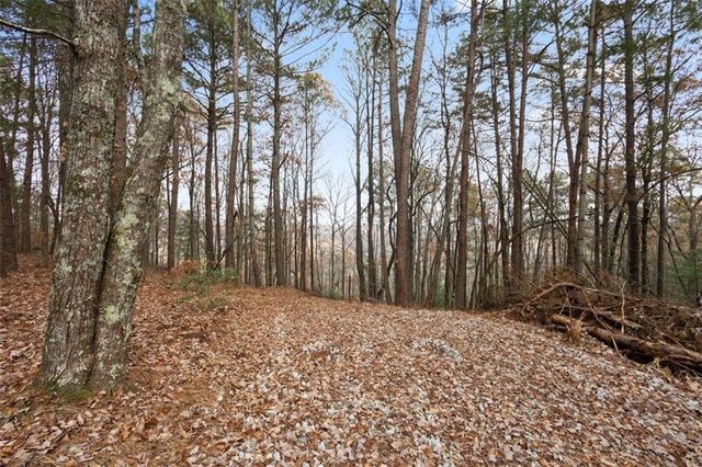 172 Hunter Drive, Talking Rock, GA 30175