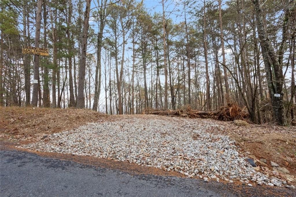 172 Hunter Drive, Talking Rock, GA 30175