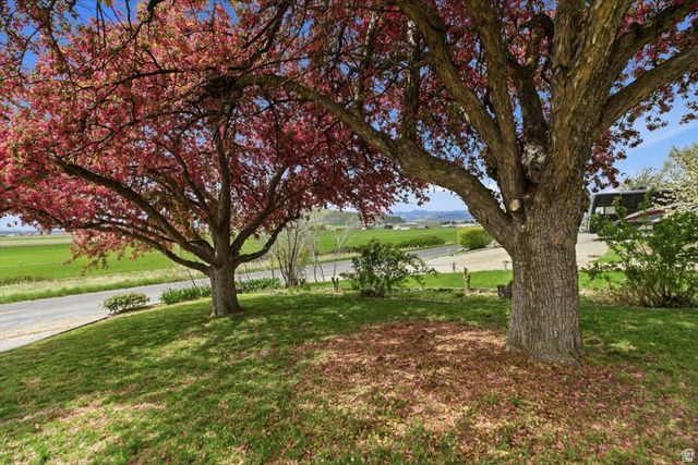 3107 E CUB RD, Franklin, ID 83237