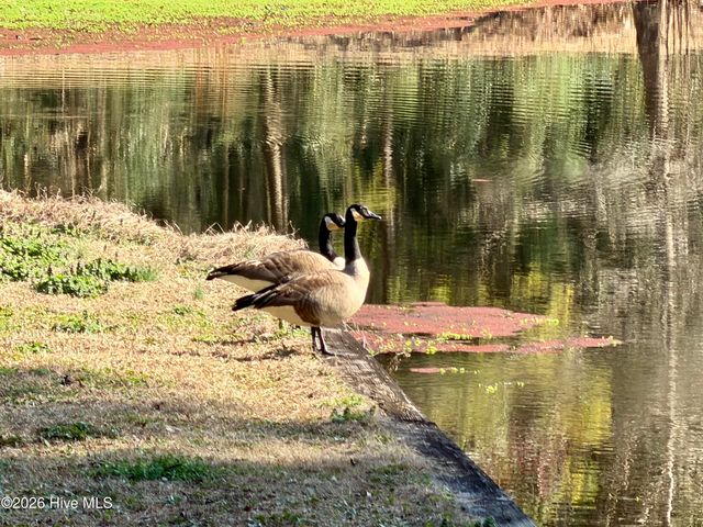 4106 Old Cherry Point Road, New Bern, NC 28560