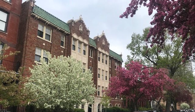 1824 N Lincoln Park West 210, Chicago, IL 60614