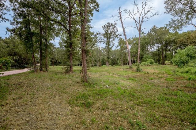 TBD Johnson Street, Riverside, TX 77320