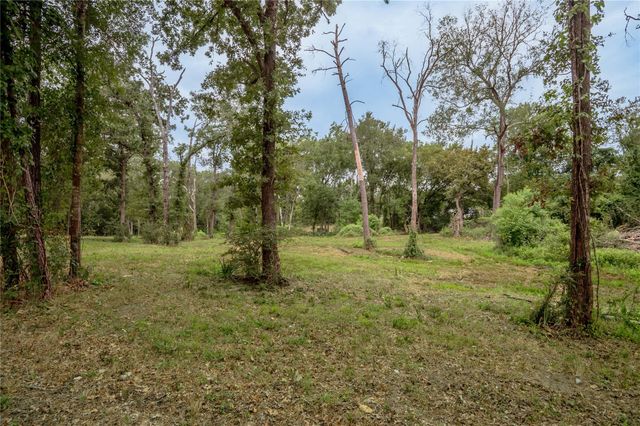 TBD Johnson Street, Riverside, TX 77320