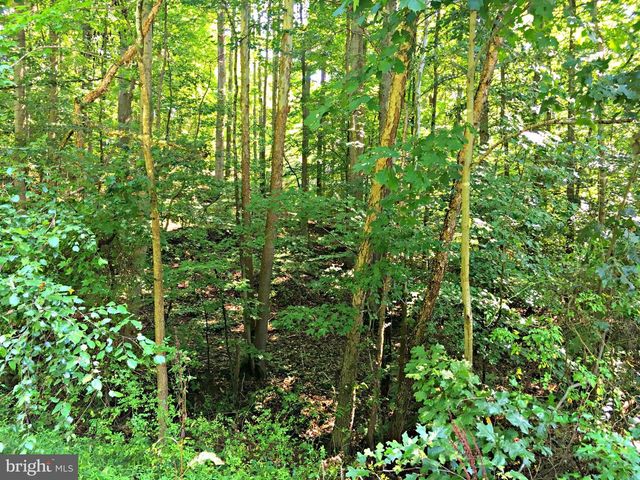 LOCUST GROVE DR, Port Tobacco, MD 20677
